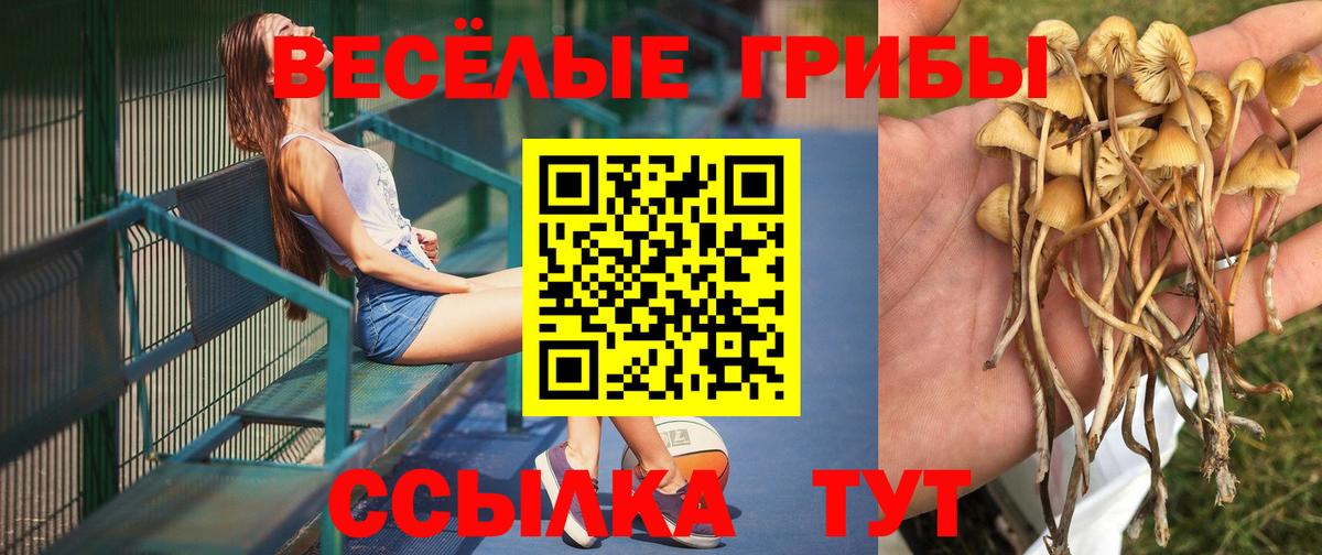 Галлюциногенные грибы мухоморы Благодарный